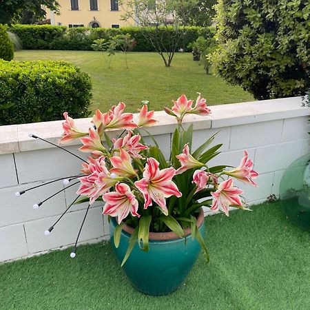 شقة Galleno House المظهر الخارجي الصورة